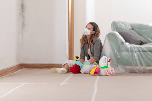 Reliable Commercial Mold Remediation contractor in Hanover, MN by 24 Hour Mold Removal