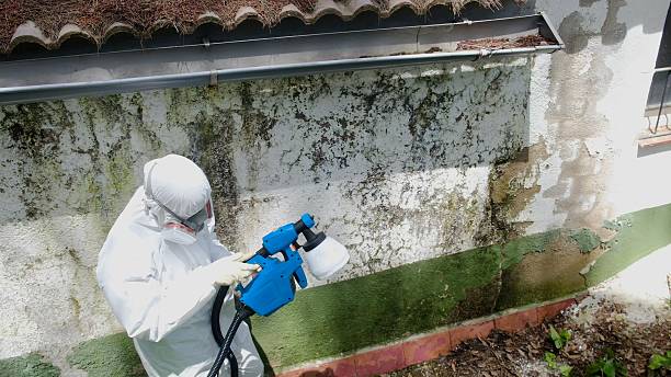 Top rated local Commercial Mold Remediation specialists in Hanover, MN